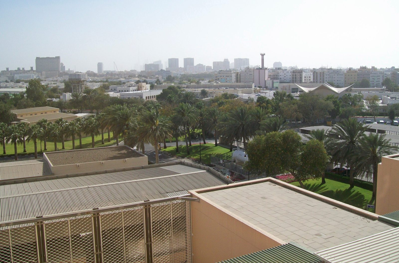 Flat roofs, palm trees and low-rise buildings in Dubai, seen from a hospital roof.