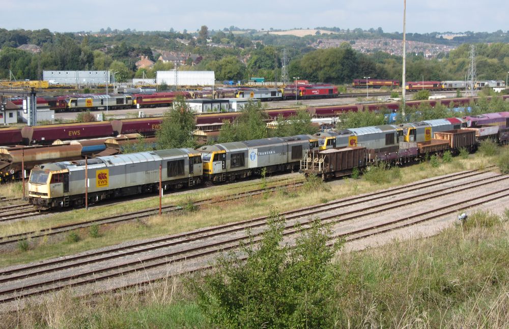 Freight locomotives parked in rows at a traction maintenance depot.